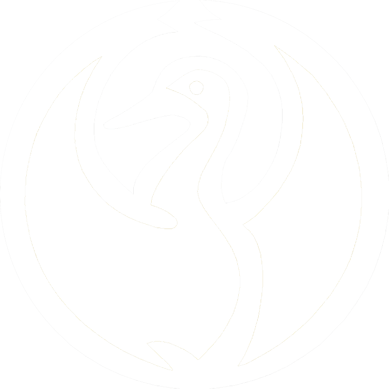 Core Software Design Logo